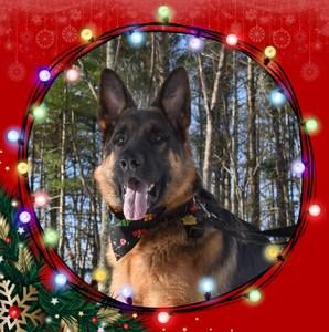 Meet your Posher, Jane